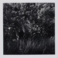 Hideoki Hagiwara - Hideoki, Black
White Photography, Untitled, Tanzania, 1994 Vintage Hideoki, Black
White Photography, Untitled, Tanzania, 1994