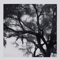 Hideoki, Black & White Photography, Tree, Tanzania, 1994