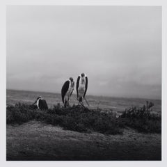 Hideoki, Black & White Photography, Untitled, Tanzania, 1994