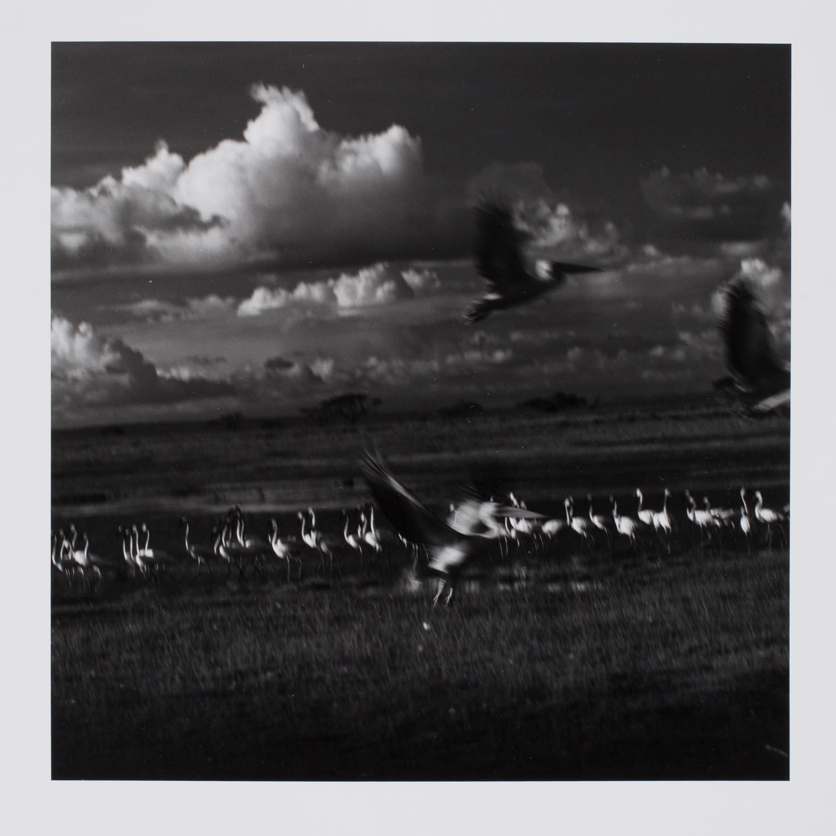 Hideoki Hagiwara Black and White Photograph - Hideoki, Black & White Photography, Untitled, Tanzania, 1994