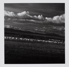 Hideoki, Black & White Photography, Untitled, Tanzania, 1994