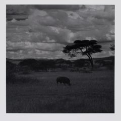 Hideoki, Black & White Photography, Untitled, Tanzania, 1994