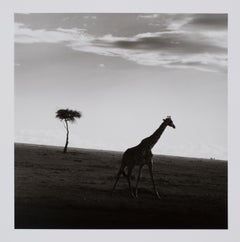 Hideoki, Black & White Photography, Untitled, Tanzania, 1994