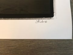 Hideoki, Swan,  Black & White, Hokkaido 1978, First Edition, 30" x 40"