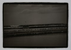 Rows of Birds, Hokkaido, Japan, 1977, Silver Gelatin
