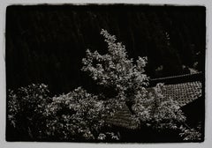 Vintage Untitled, Hokkaido, Japan, 1977, Silver Gelatin