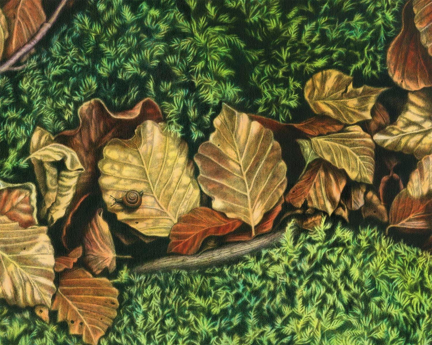 Autumn shade, Mixed Media, Japanese Visual Artist, Nature, Disegno, Hatching - Painting by Hideyuki Sobue 