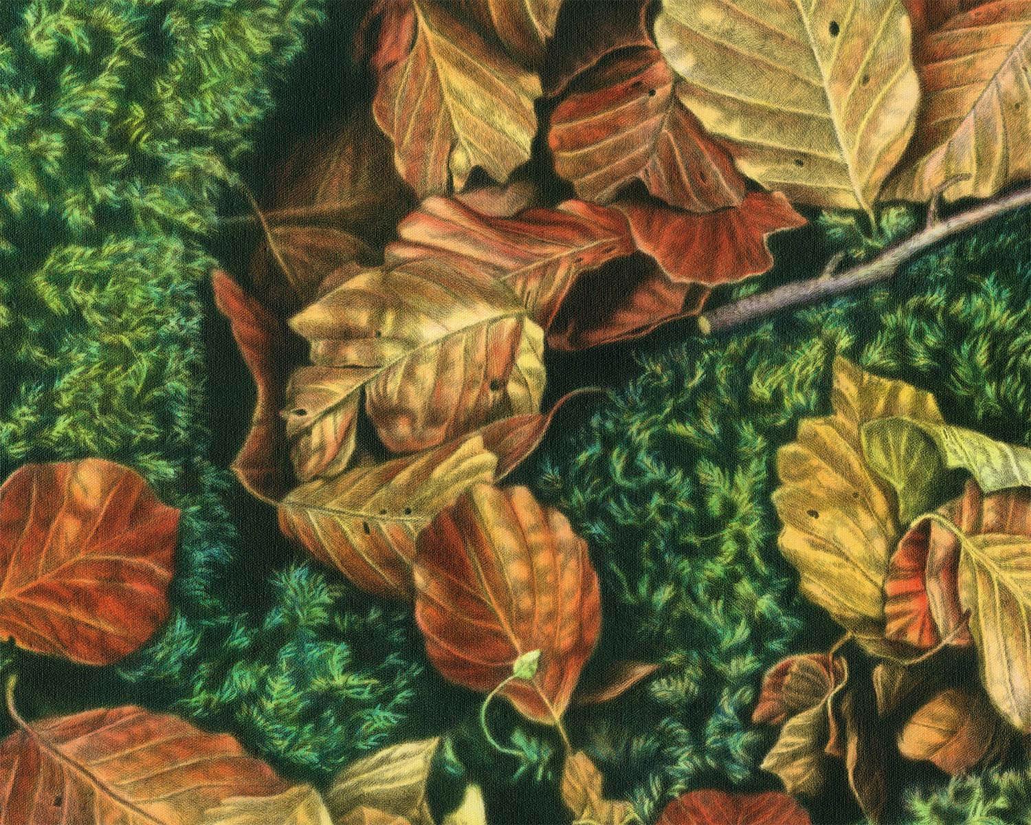 Autumn shade, Mixed Media, Japanese Visual Artist, Nature, Disegno, Hatching - Contemporary Painting by Hideyuki Sobue 