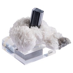 High Contrast Black Shorl Tourmaline on Snowy Cleavelandite Matrix