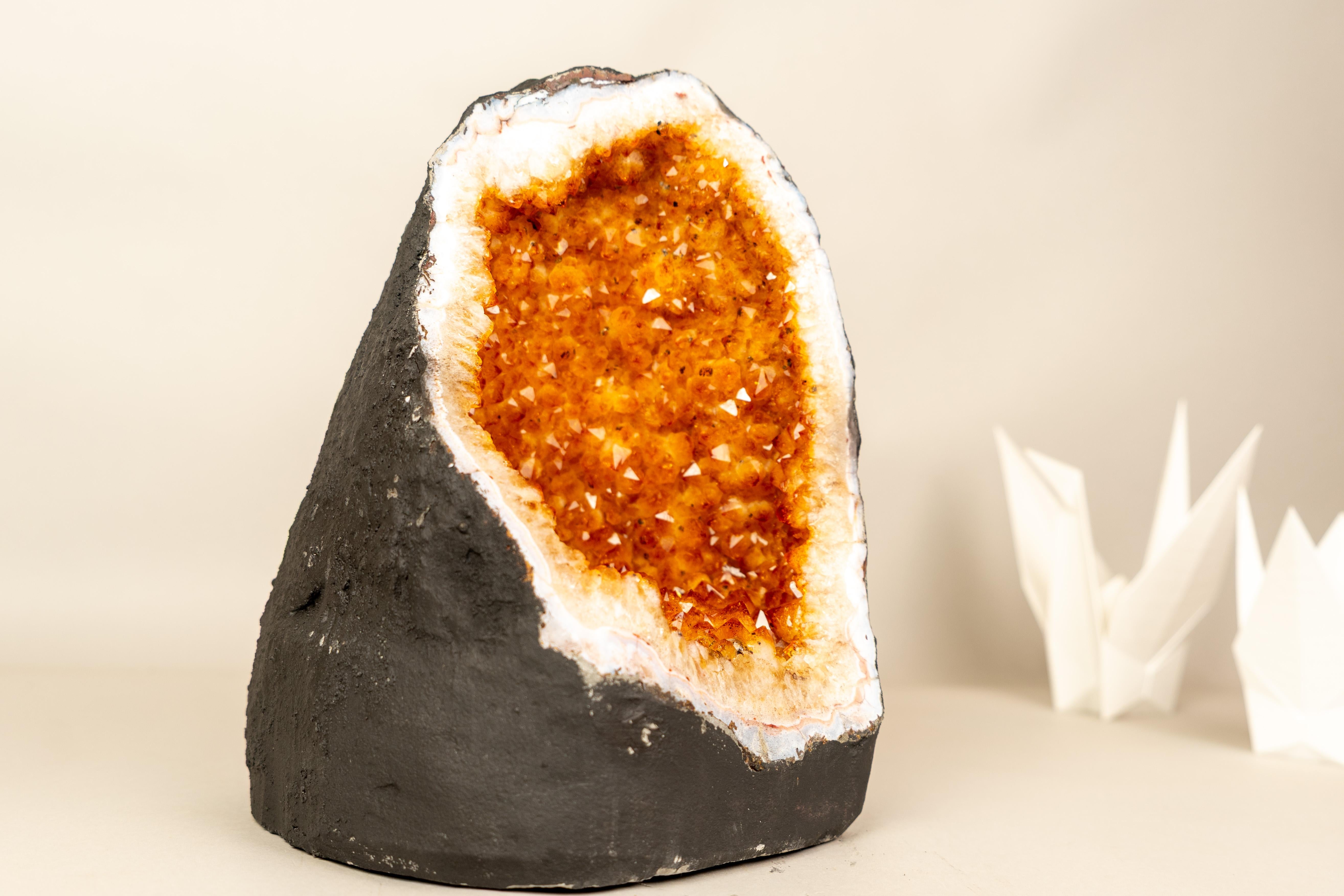 Citrine Geode with Sparkly Deep Orange Crystals

▫️ Description

Aesthetically stunning and featuring high-quality, sparkly orange citrine druzy, this medium-sized Citrine Geode is the perfect crystal to elevate the energy of your space while adding