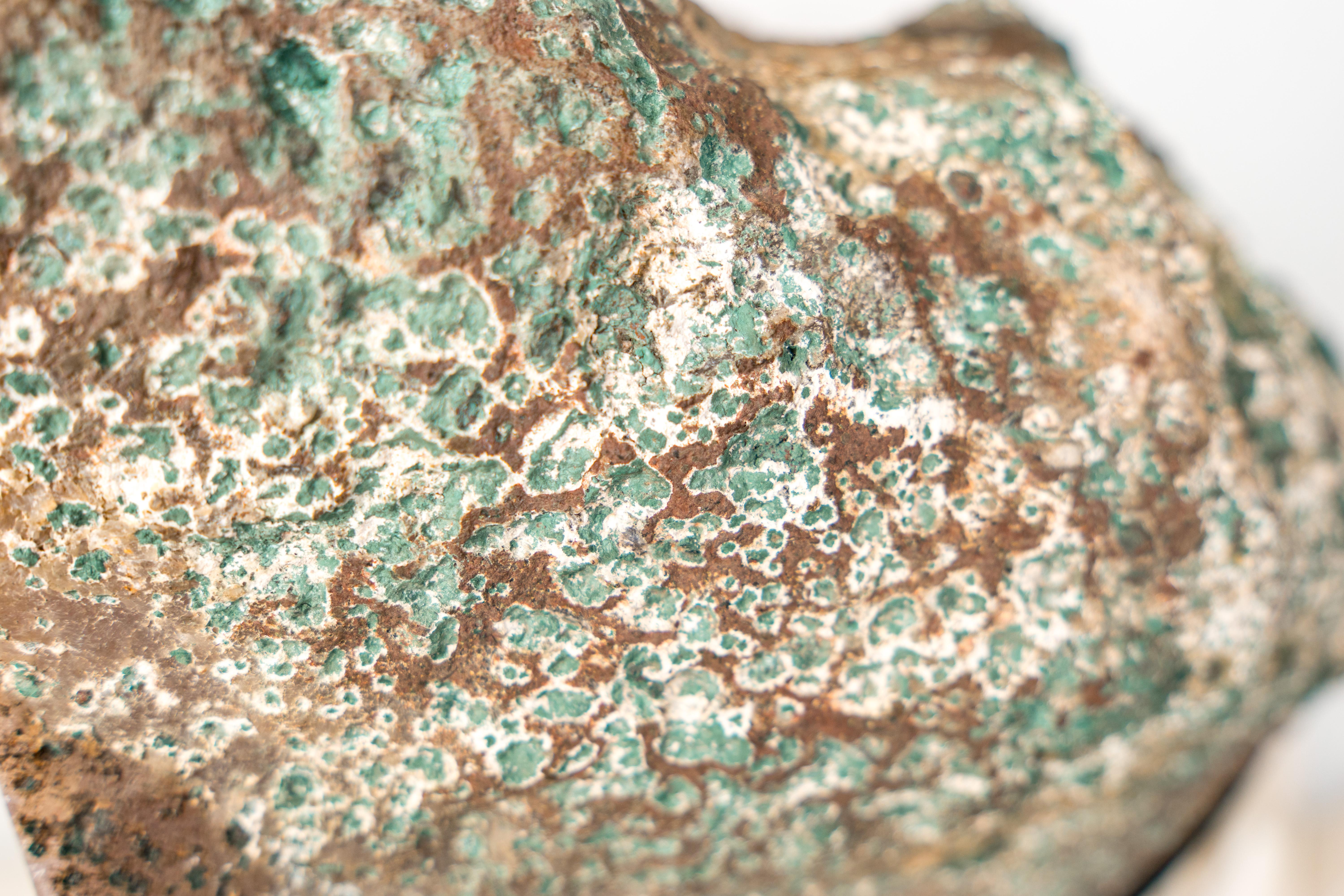 High-Grade Deep Purple Amethyst Geode on Custom Stand In New Condition For Sale In Ametista Do Sul, BR