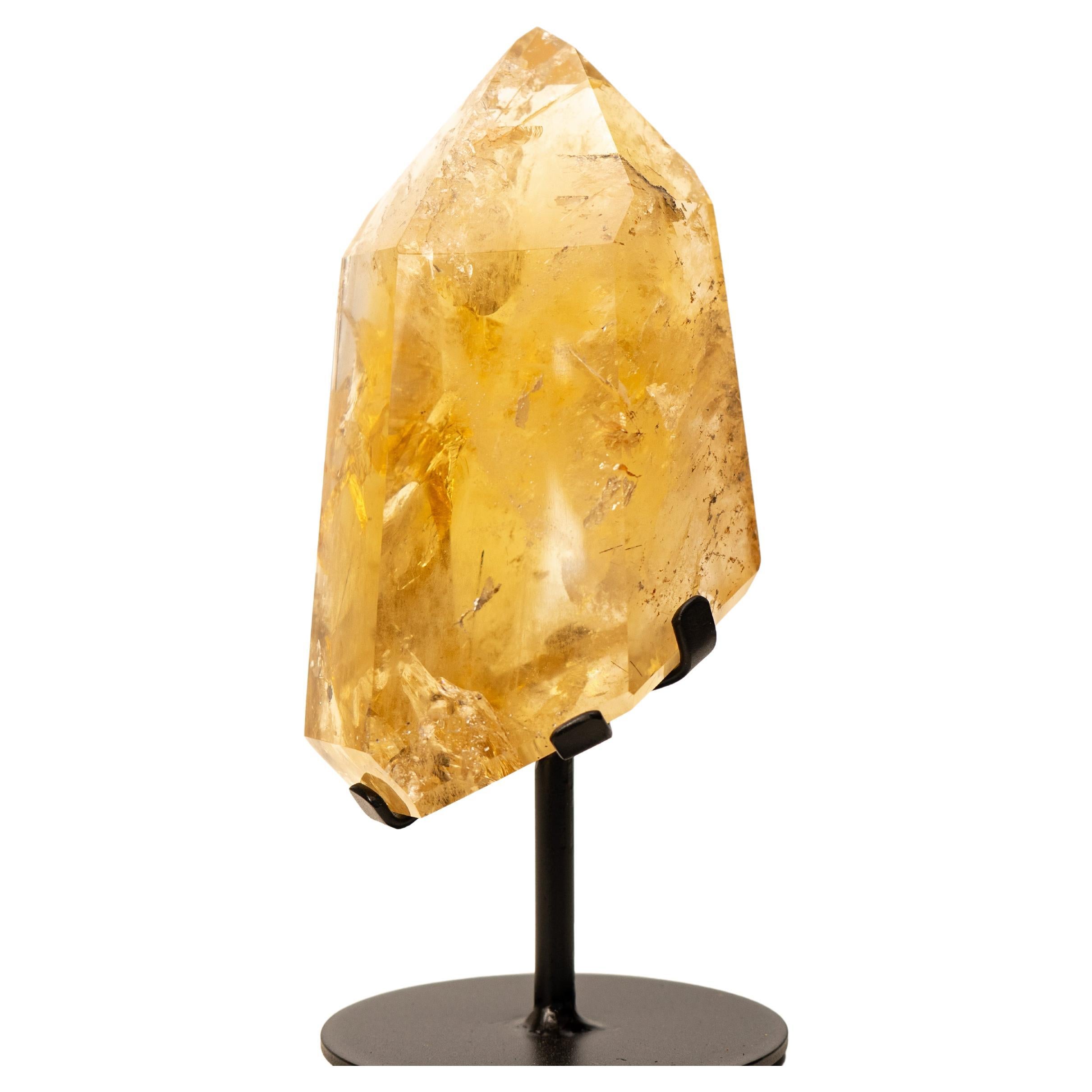New And Custom Natural Specimens