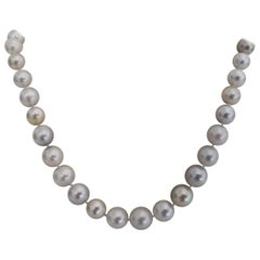 High Luster and White Silver Natural Color South Sea Pearls