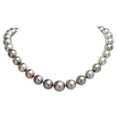 High Lustrous Tahitian South Sea Peacock Gray Pearl Strand Necklace