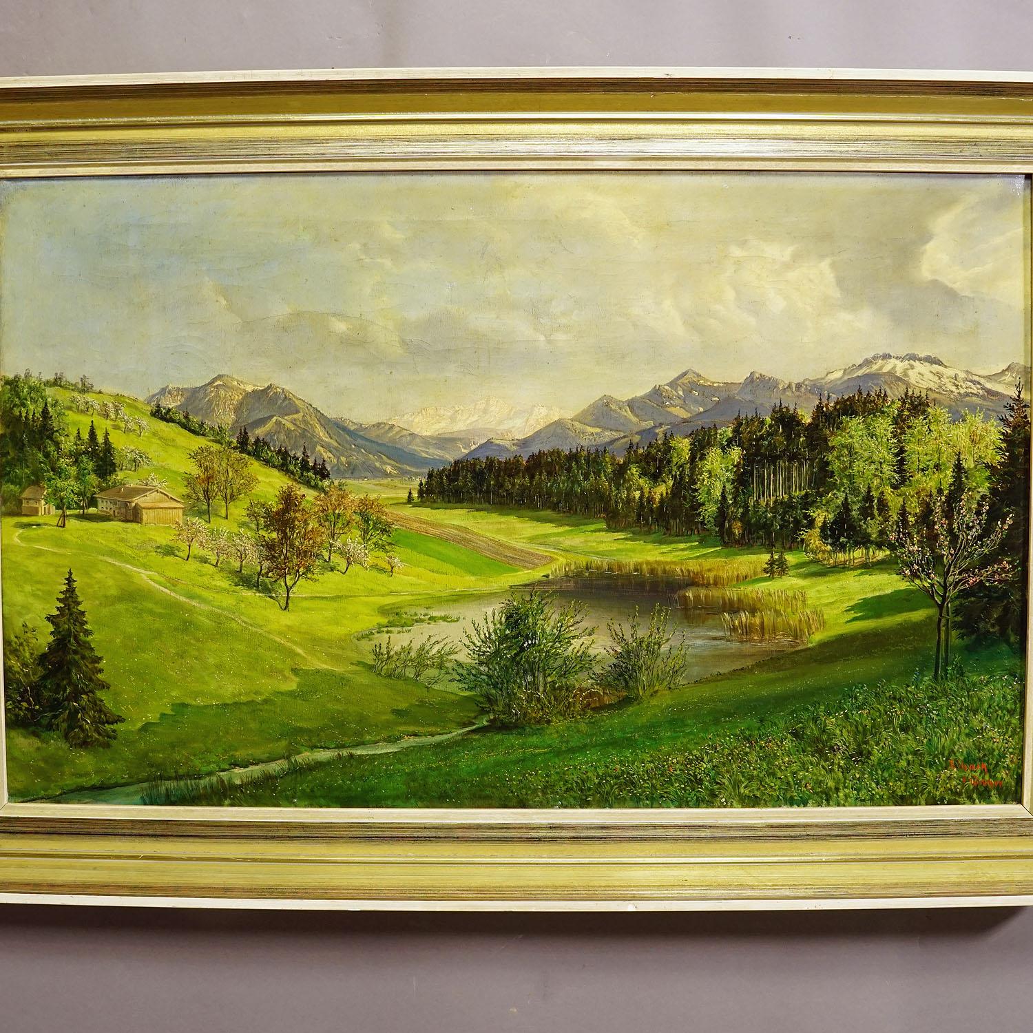 German High Mountain Grass Landscape with Alpine Lake in Bavaria, circa 1930s For Sale