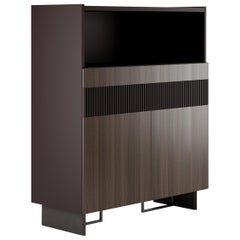 Contemporary Tall Storage Unit Lacquered Case Veneered Drawers and Doors.