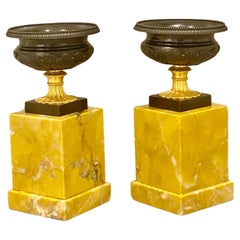 High Quality Pair of Regency Bronze & Sienna Marble Tazza circa 1820's