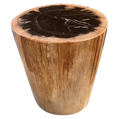 petrified wood for sale High Quality Petrified Wood Side Table