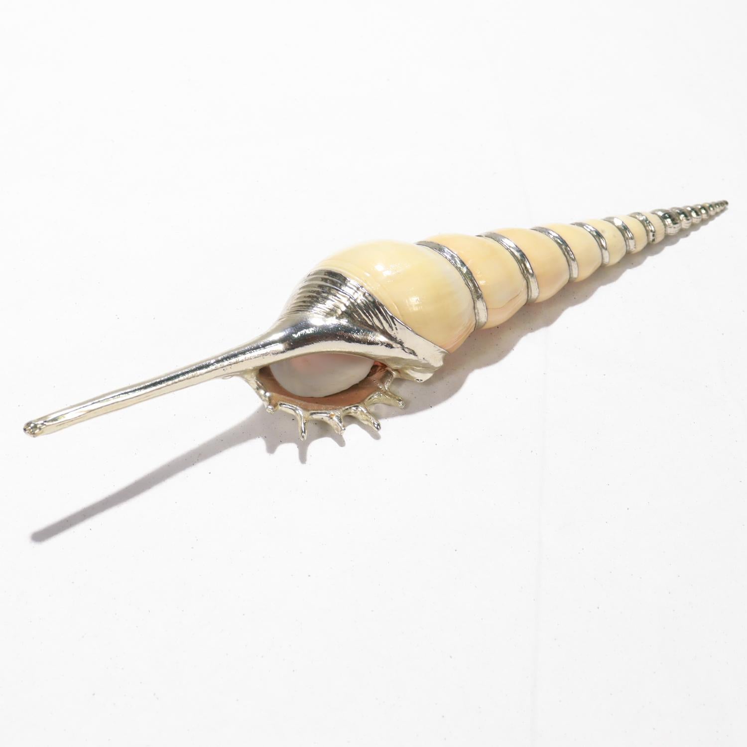 Una bella conchiglia argentata d'epoca.

Composto da una conchiglia Tibia Fusus con sovrapposizione di argento.

La punta allungata della conchiglia e la punta terminale sono entrambe completamente rivestite d'argento, mentre gli incavi di ogni