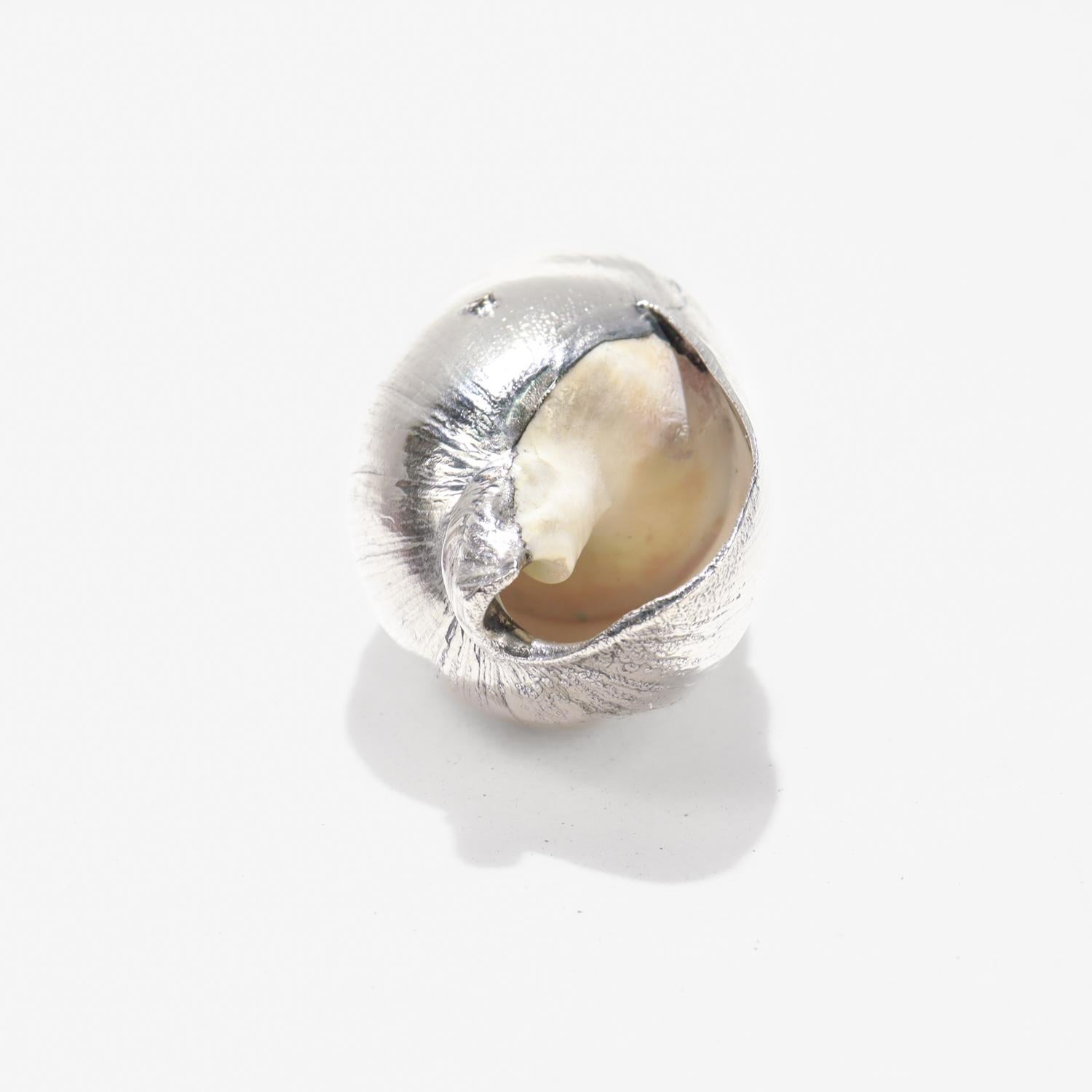 Argento Conchiglia ad alta pressione con sovrapposizione di argento Sterling in vendita
