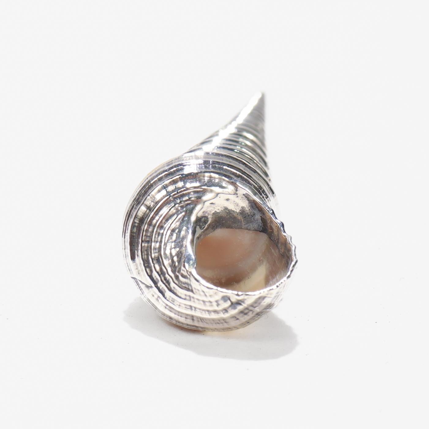Coquillage haut de gamme avec superposition d'argent sterling en vente 3