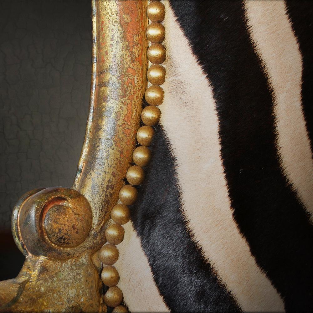 Bronze High Zebra Throne with Two Natural Zebra Skins