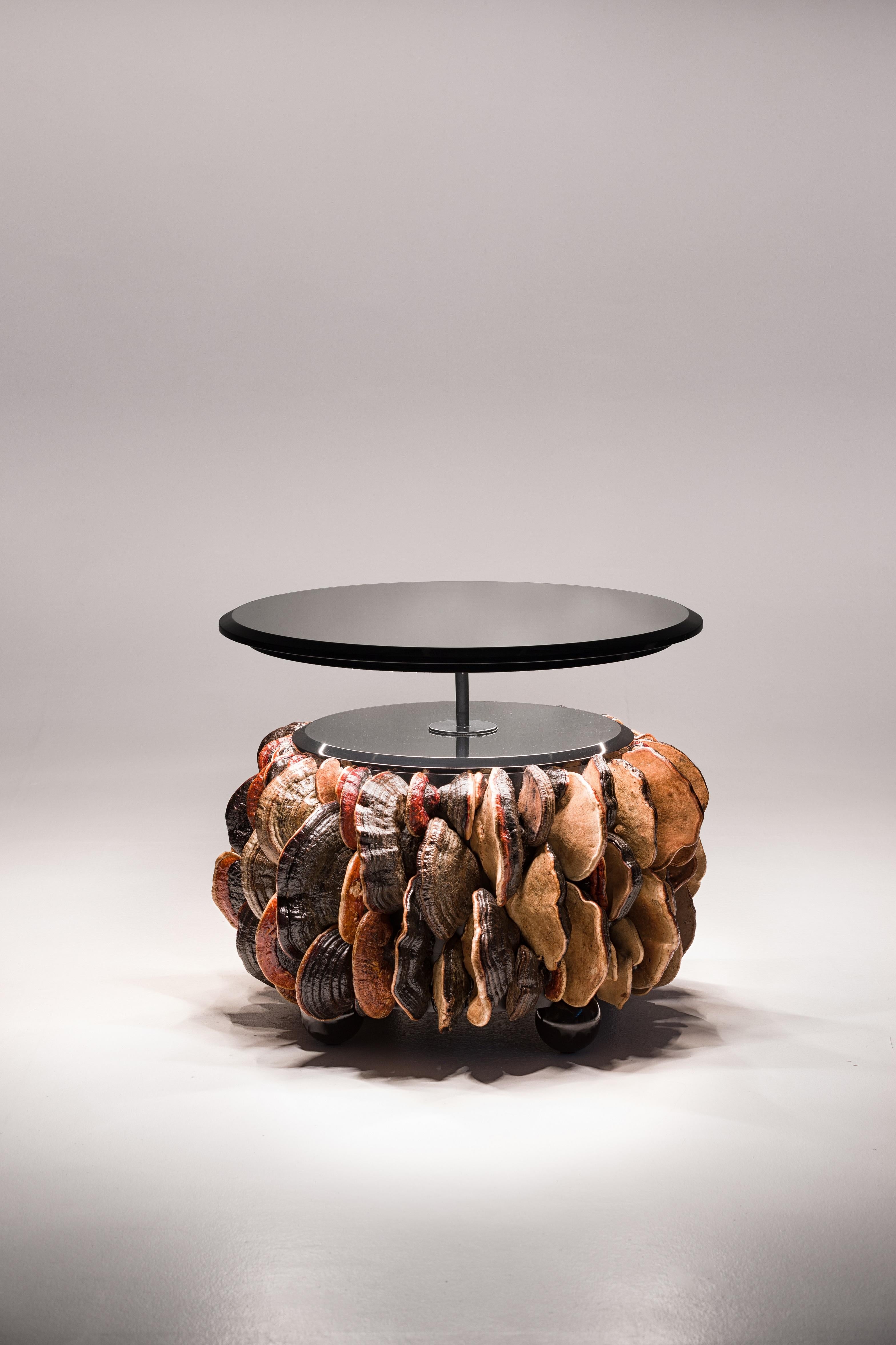 Arts and Crafts Highend Center Table Mushrooms Collection with Black Tabletop and Illumination For Sale