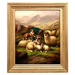 "Highland Sheep, Scotland" by John Barker