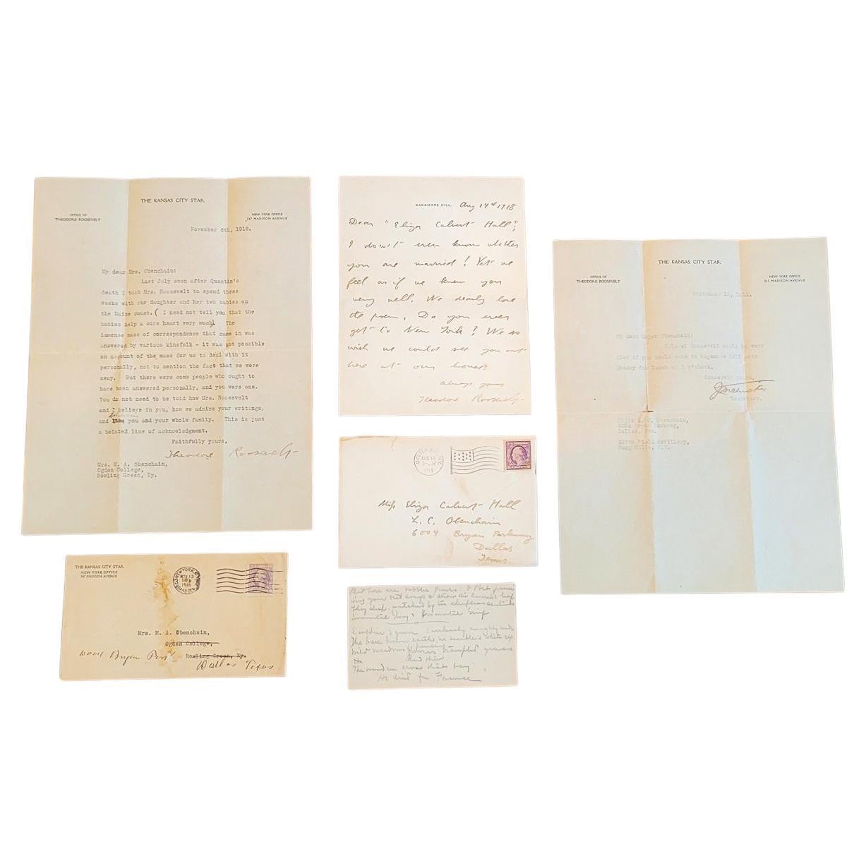 Highly Important Theodore Roosevelt Collection of 6 Items For Sale