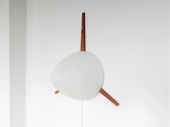 Rarissima lampada da parete in teak e vetro opalino C-1575 di Eje Ahlgren per RAAK 1957