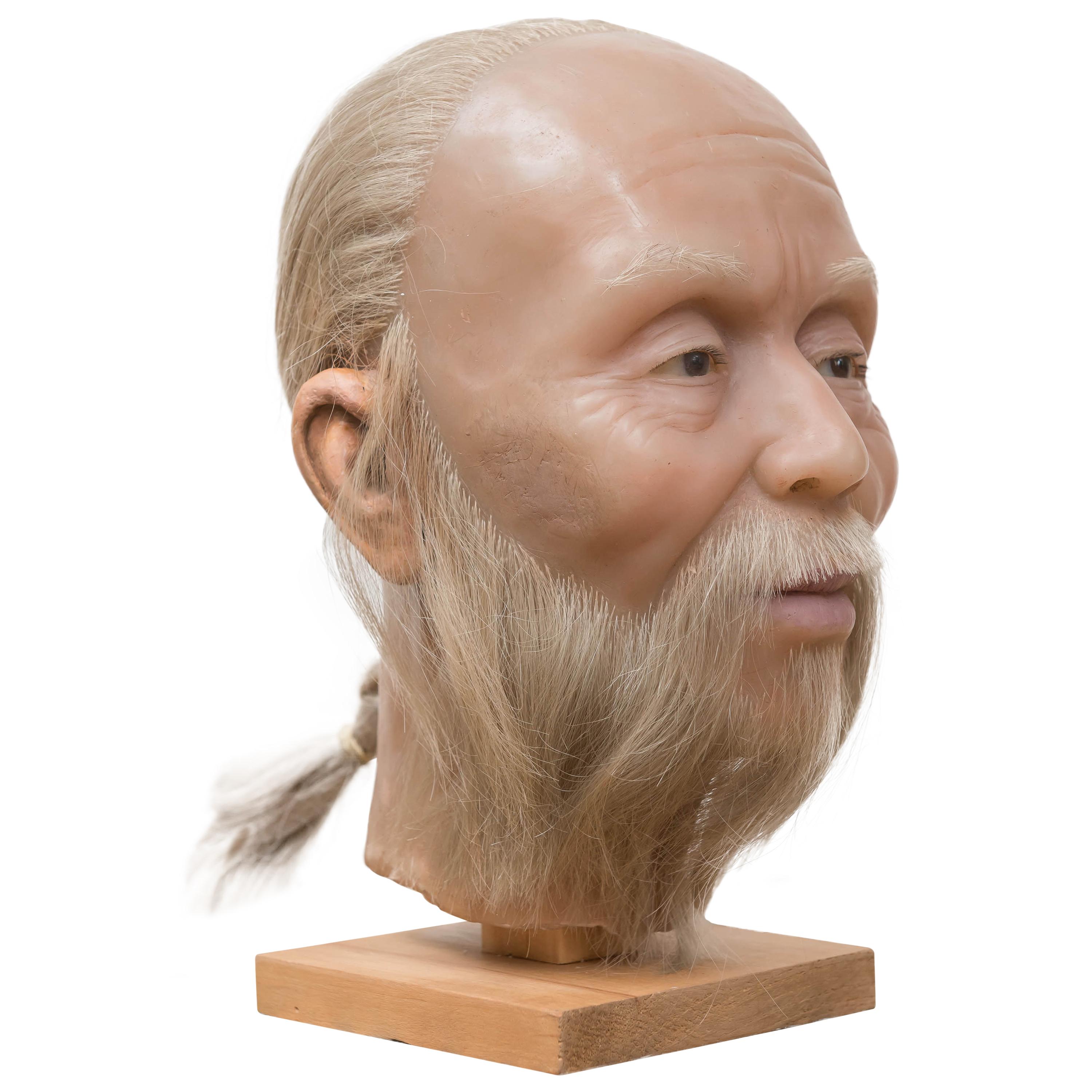 Highly Realistic Wax Head of a Chinese Man, Mid-20th Century