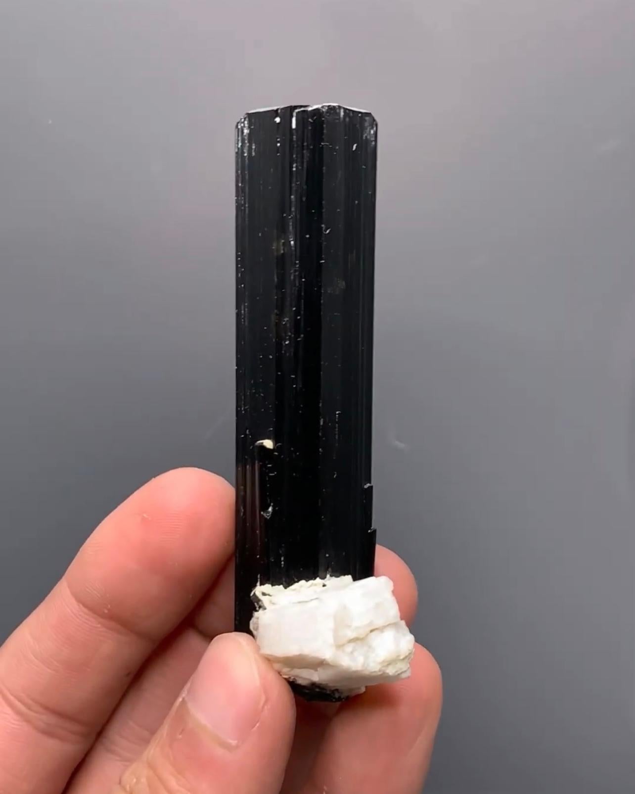 Product Information:

Specimen Name: Schorl Black Tourmaline crystals on Albite

Weight: 60 grams

Dimensions: H: 8.3 x W: 2.8 x D: 2 cm

Treatment: None

Origin: Skardu District, Gilgit Baltistan, Pakistan

Description:

The Contrasting Piece of