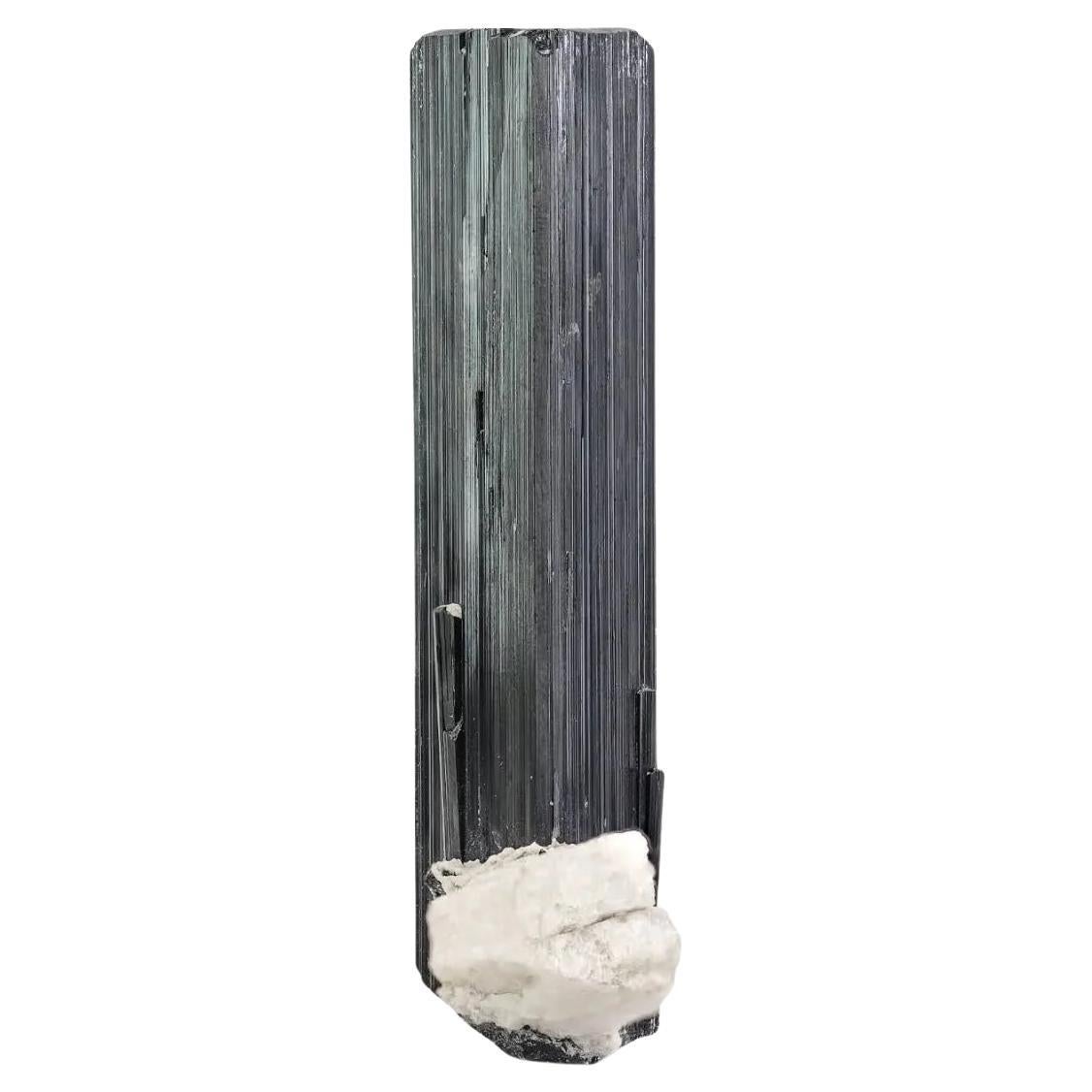 Highly gestreifter schwarzer Schorl-Turmalin mit schwarzem Albite-Matrix aus Pakistan