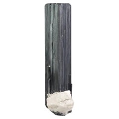 Highly gestreifter schwarzer Schorl-Turmalin mit schwarzem Albite-Matrix aus Pakistan
