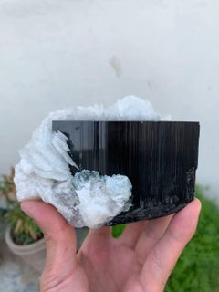 Highly Striated Schorl Black Tourmaline With White Cleavelandite From Afghan