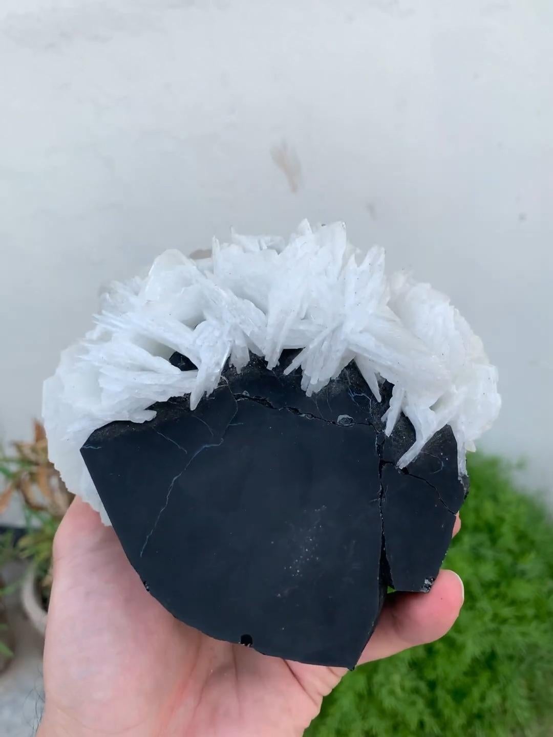 Modern Highly Striated Schorl Black Tourmaline With White Cleavelandite From Afghan For Sale