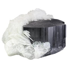 Highly Striated Schorl Black Tourmaline With White Cleavelandite From Afghan