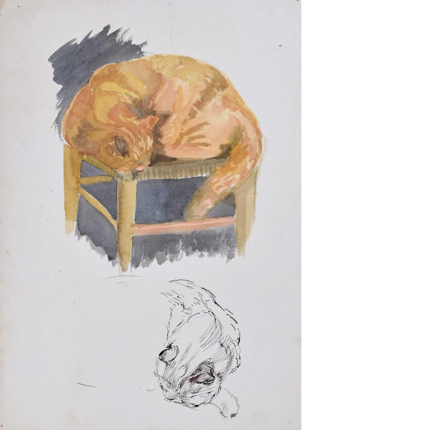Hilary Hennes, Gatto che dorme (1940 circa), dipinto Modern British Art Hilary Miller
