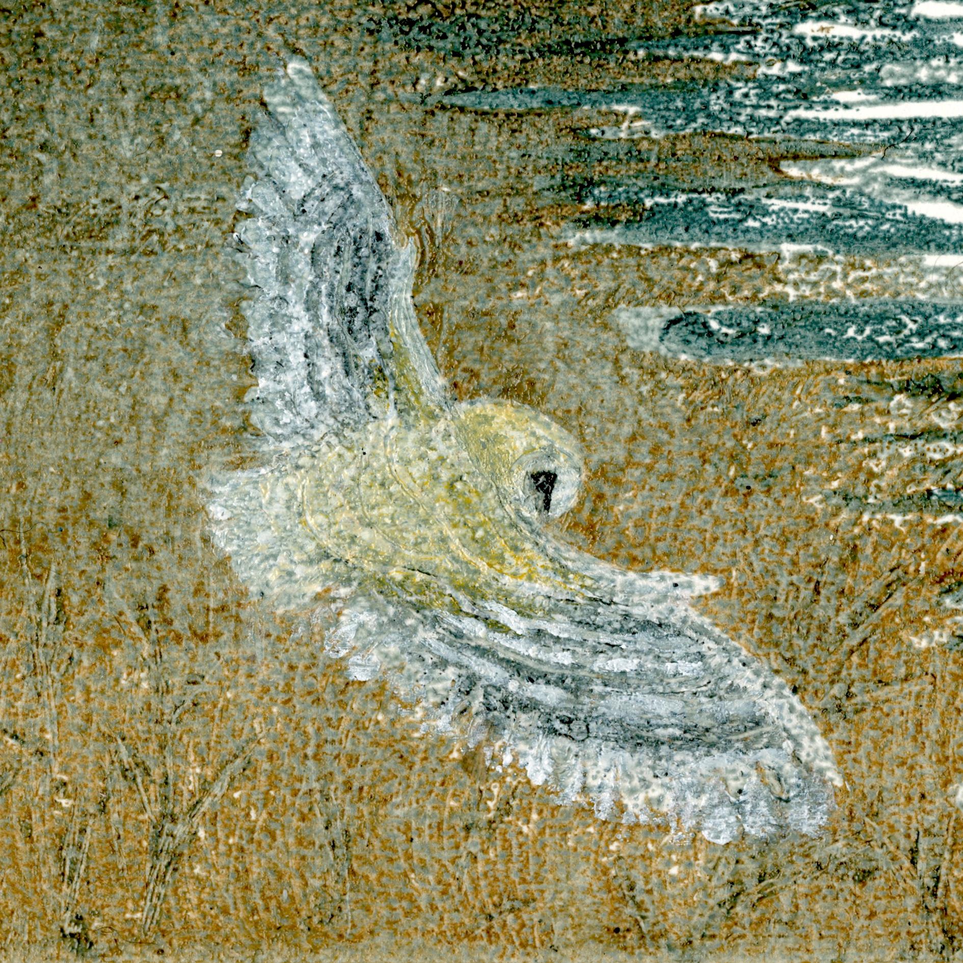 Barn Owl over Salt Marsh No. 3, Hilary Kington, Animal Art, Contemporary Print For Sale 1