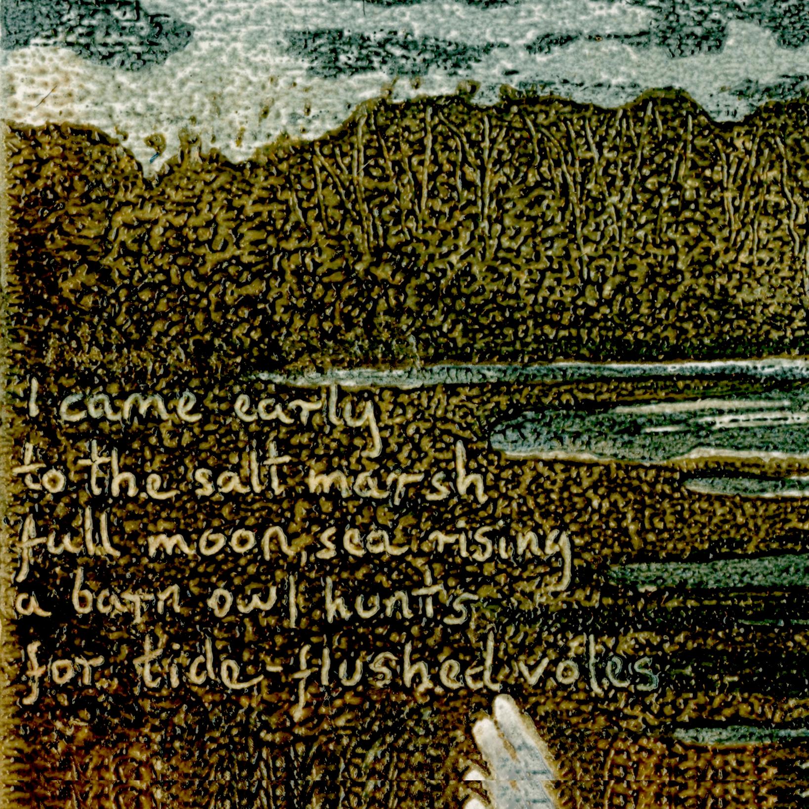 Hibou de grange sur terre de sel Marsh n° 4 - Contemporain Print par Hilary Kington