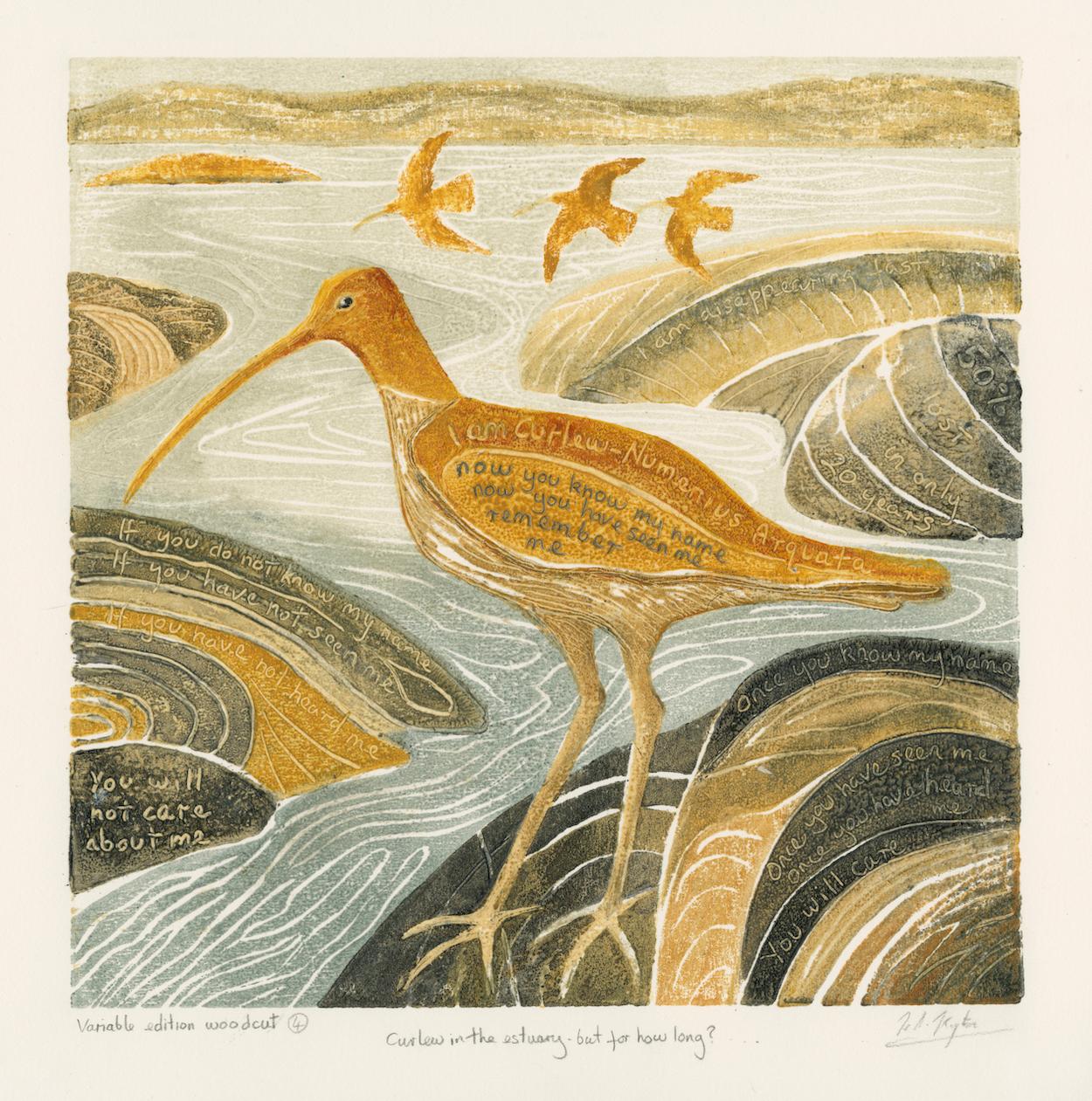 Hilary Kington Figurative Print – Curlew in the Estuary, aber für wie lange? (Ich bin geschwungen)