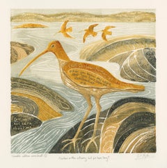 Curlew in the Estuary but for how long? (I am Curlew)