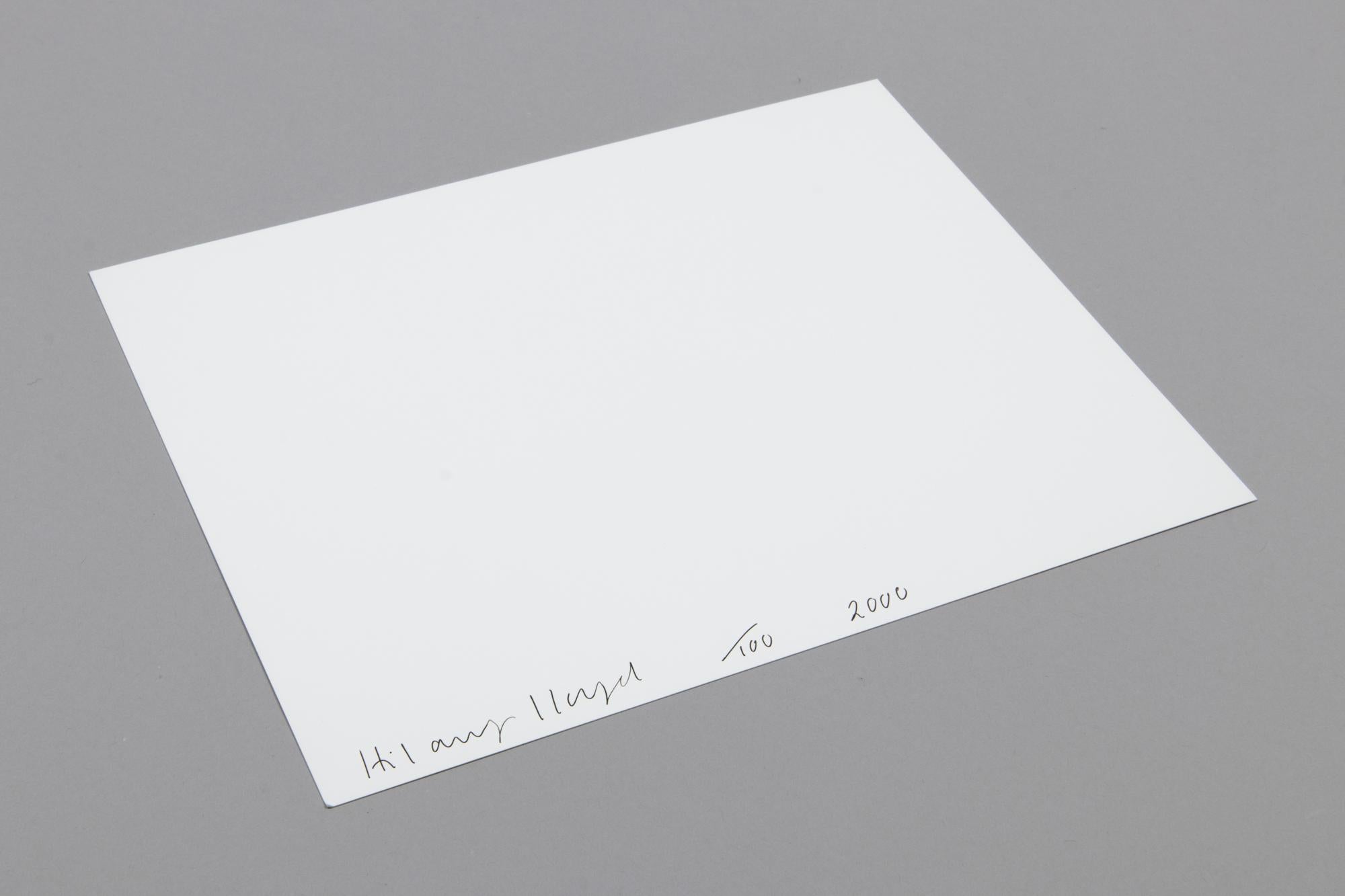 Hilary Lloyd, Escaparate - Impresión firmada, Fotografía contemporánea en venta 3