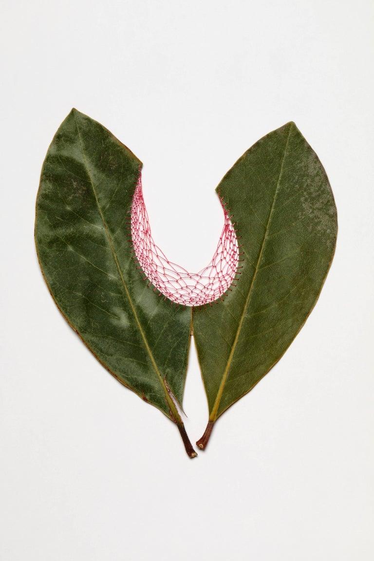 Zeitgenössische botanische Blumen-Textil-Stickerei mit Blättern aus natürlicher Erde