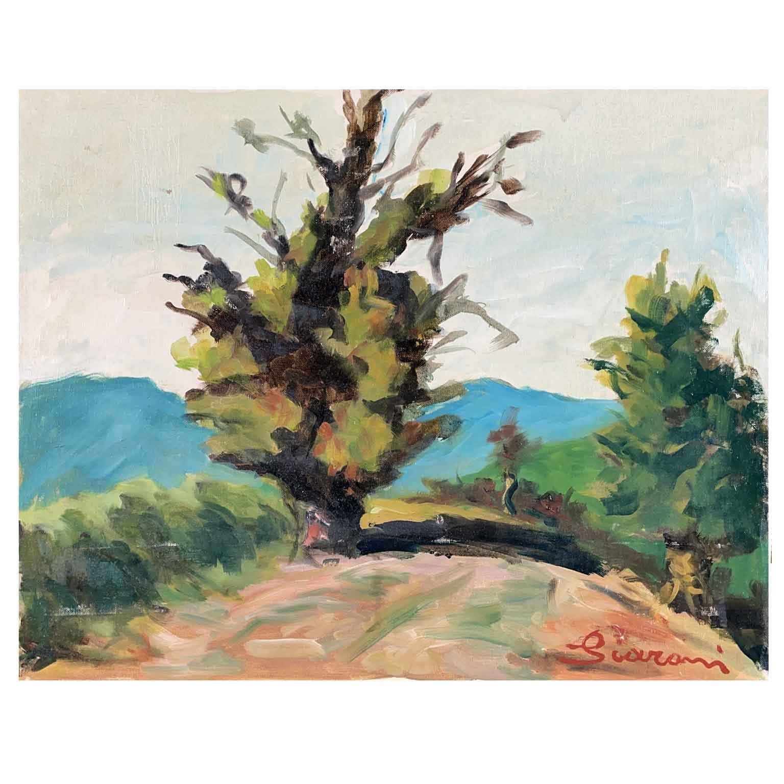 Italian Hilly Landscape with Trees by Annibale Scaroni 1951 entitled La Pianta In Good Condition For Sale In Milan, IT