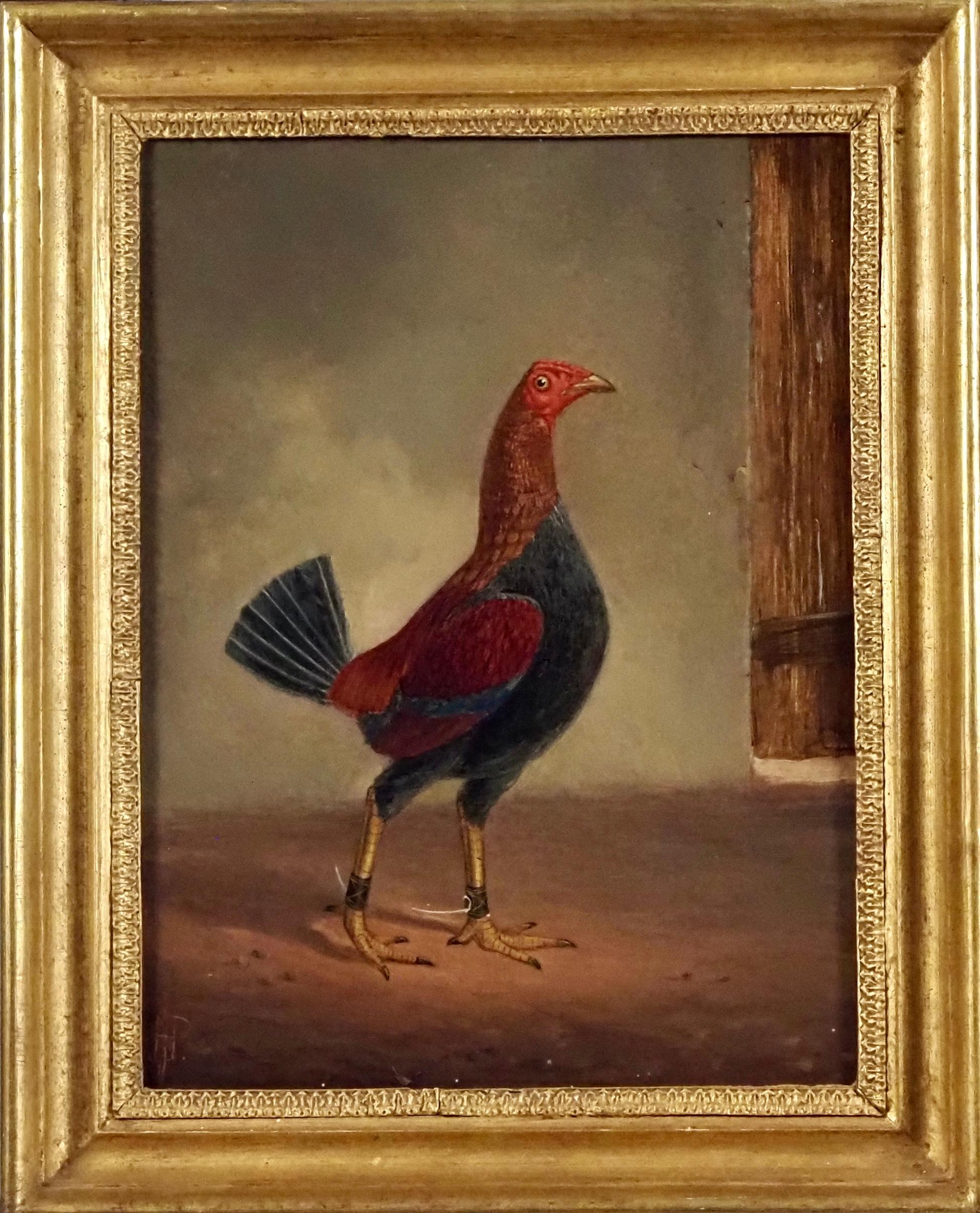 A dark-breasted fighting cock & A pale-breasted fighting cock facing - Painting by Hilton Lark Pratt