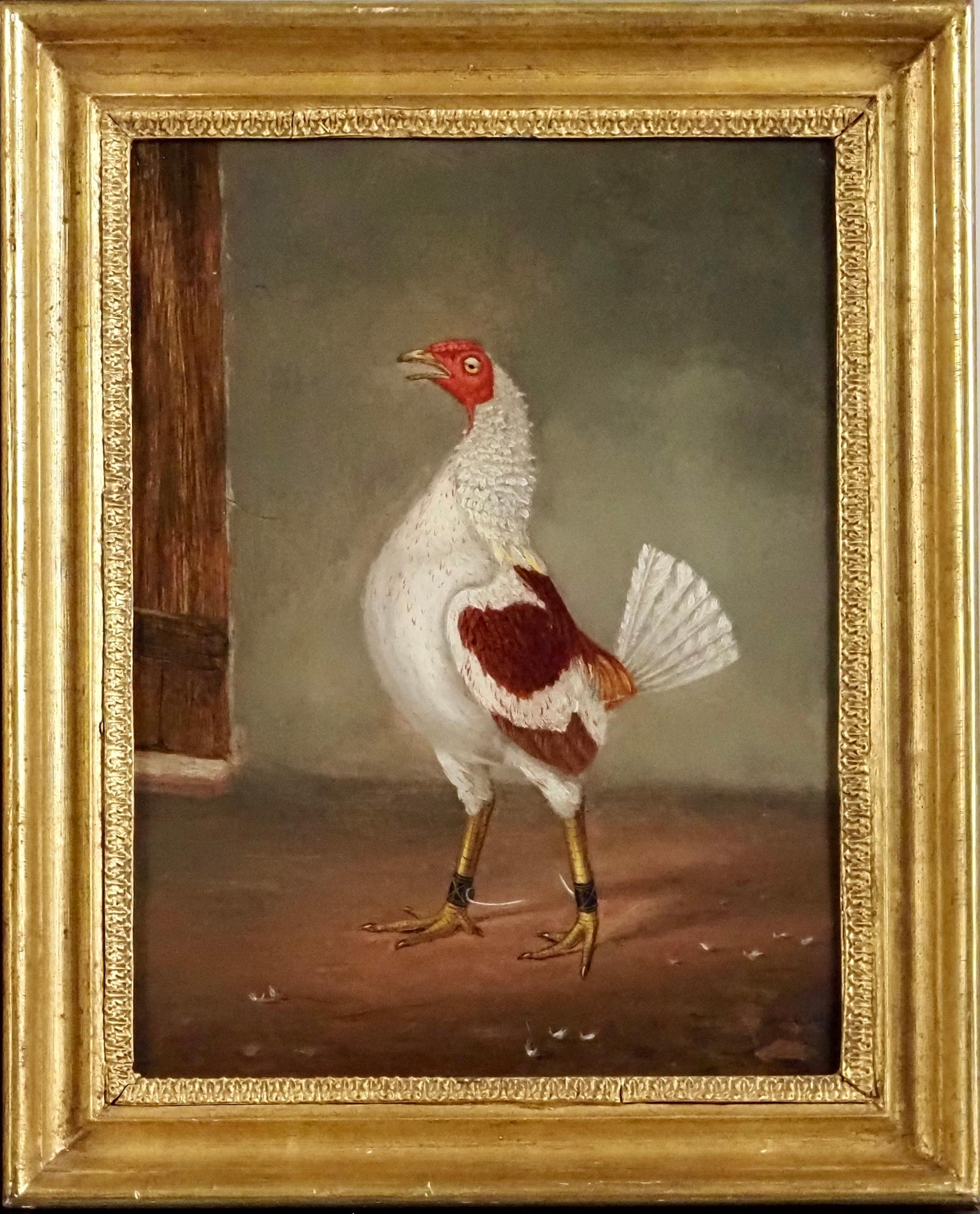 A dark-breasted fighting cock & A pale-breasted fighting cock facing - Victorian Painting by Hilton Lark Pratt