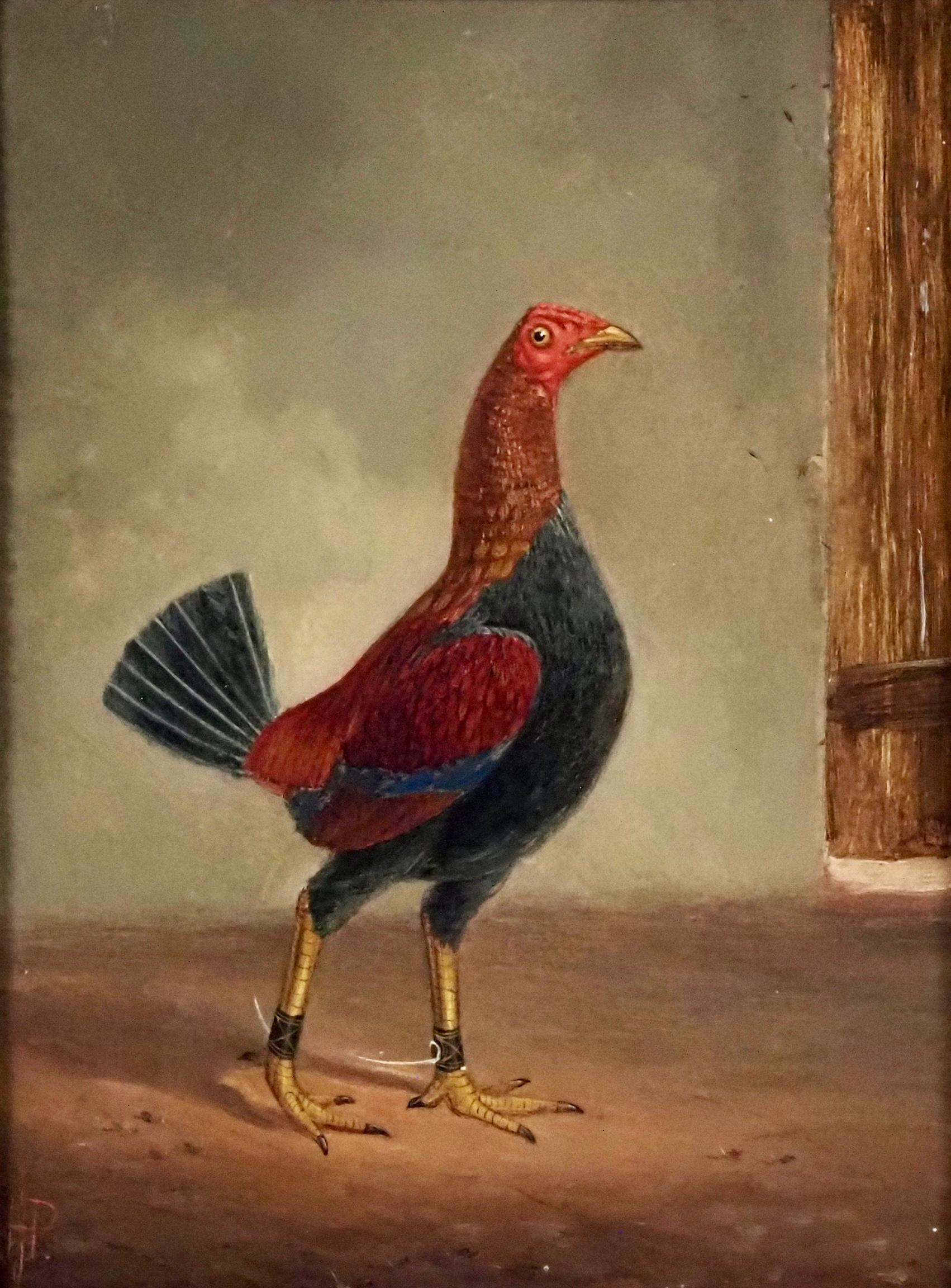 Hilton Lark Pratt (1838-1875)
A dark-breasted fighting cock facing right
A pale-breasted fighting cock facing left
Both signed with monogram
A pair, oil on Panel
Painting Size 11 3/4 x 8 3/4 in 

Pratt was born in the parish of St Peters in Derby on