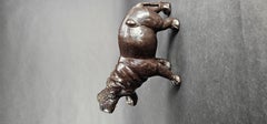 Hippo in Leather