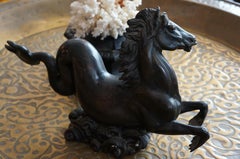 Hippocampus Mid-century Bronze, France